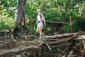 BIB: 
                            <button type="button" onclick="openModal(27553391)" class="btn btn-primary btn-sm float-right btn-popup" data-toggle="modal" data-target=".modal-high-quality">
                        <i class="fas fa-shopping-cart"></i> Add to Cart
                    </button>
                                            <button type="button" onclick="isThisMe(27553391, true)" class="btn btn-success btn-sm float-right btn-popup btn-isme hidden" data-toggle="tooltip" data-placement="bottom" title="นี่คือรูปของคุณใช่ไหม คลิกที่นี่เพื่อเอาเข้าอัลบั้ม">
                        <i class="fas fa-plus"></i> Add to album
                    </button>
                    <button type="button" onclick="isThisMe(27553391, false)" class="btn btn-warning btn-sm float-right btn-popup btn-isnotme hidden">
                        <i class="fas fa-ban"></i> Remove from album
                    </button>